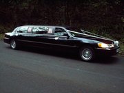 Tampa Florida Limo