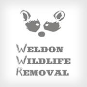 Weldon Wildlife Removal Service Area